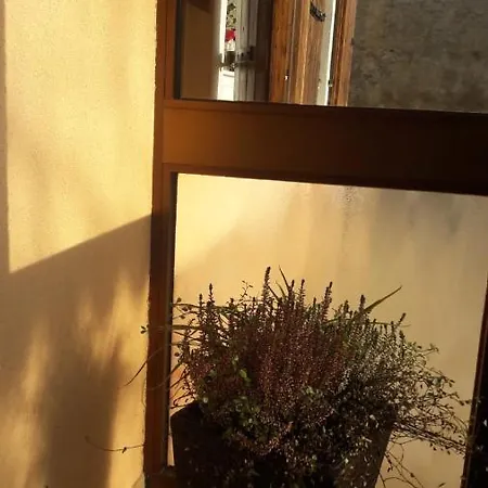 Il Sole Panzió Belluno